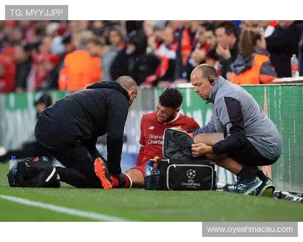 齐尔克泽今夏或离队恐无缘世杯